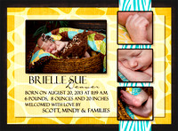 Brielle Newborn